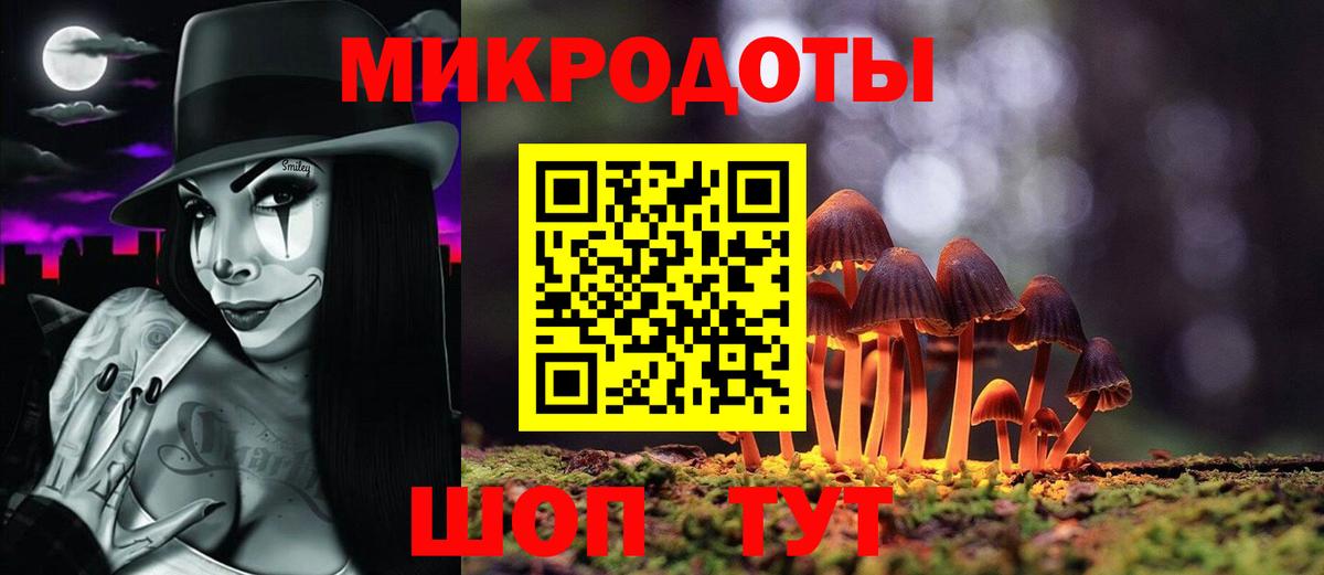 Кудымкар  Псилоцибиновые грибы MAGIC MUSHROOMS  Вход с VPN 